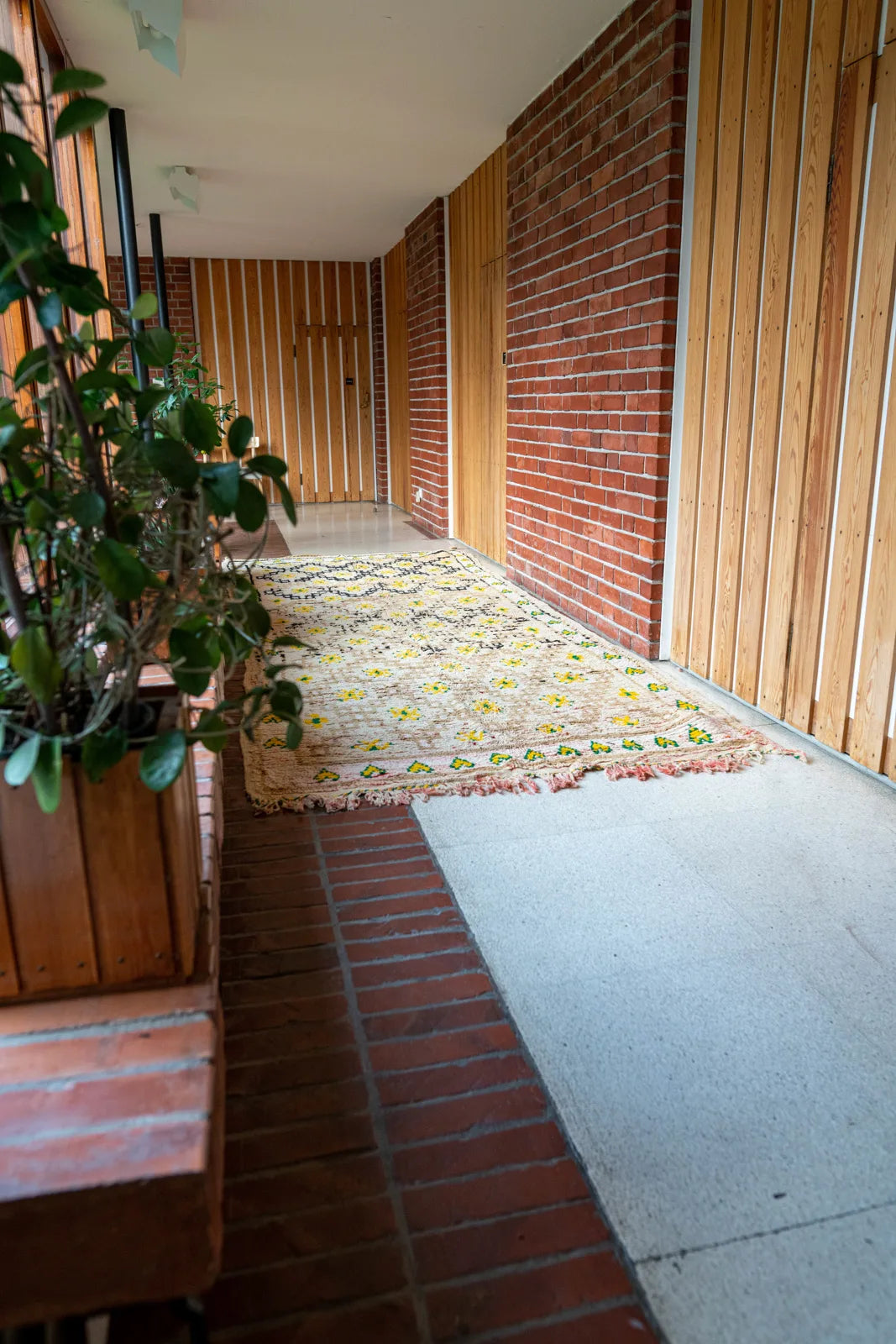 Moroccan Berber Rug